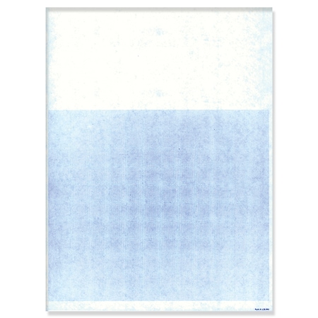 Asp Laser Repair Orders (20#), 8 1/2" X 11", 250 Per Pack (Form #Lzr-Ro) Pk 7393